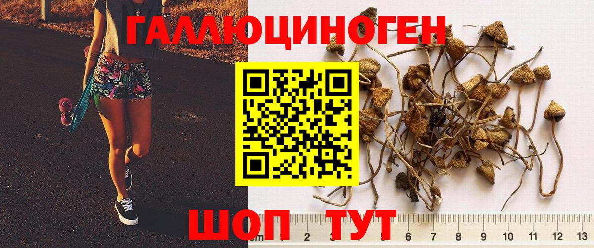 Батайск  Галлюциногенные грибы прущие грибы  Вход с VPN 